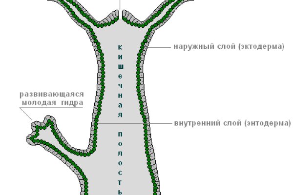 Как зарегистрироваться на кракене из россии