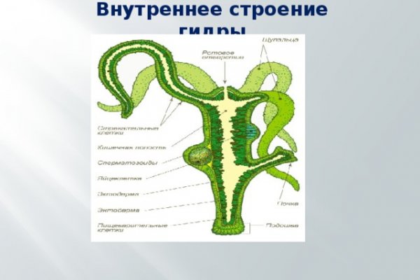 Адрес кракен в тор